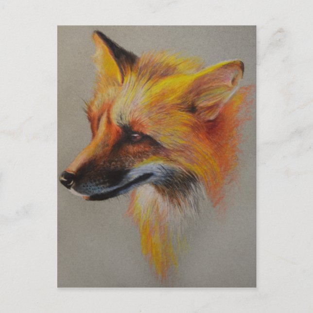 Fox Portrait Postcard (Front)