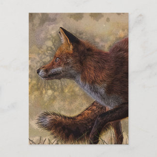 fox postcard