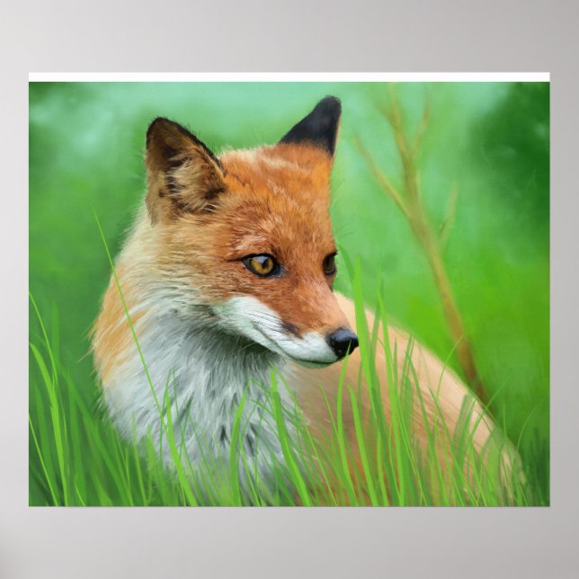Fox - Poster (Front)