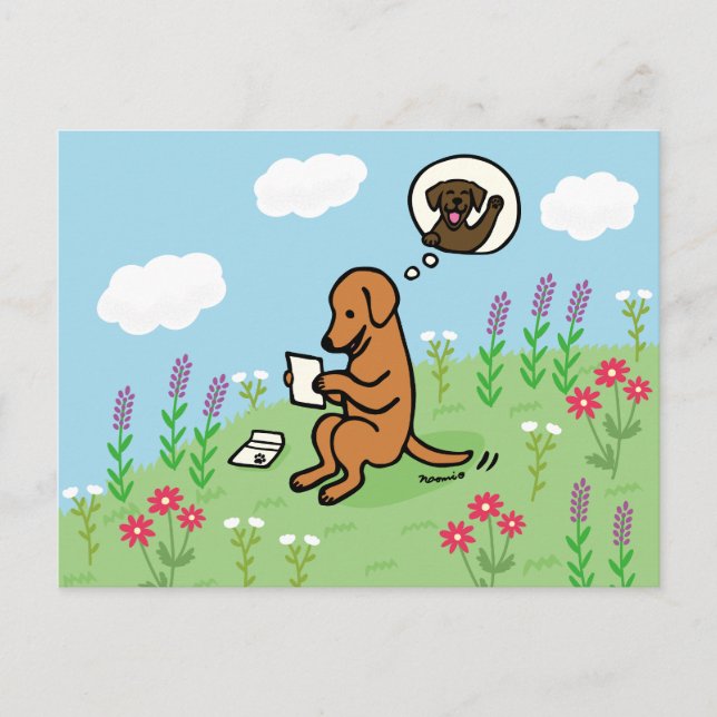 Fox Red Labrador and Letter from a Friend Postcard (Front)