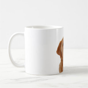 Fox red Labrador Cup