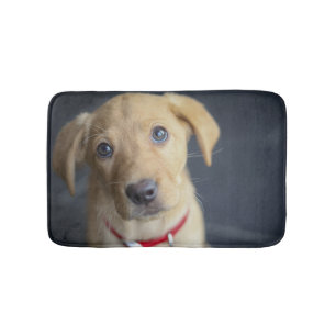 Fox Red Labrador Puppy Bath Mat