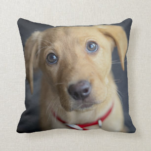 Fox Red Labrador Puppy Throw Pillow