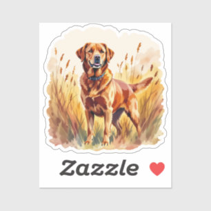 Fox Red Labrador Retriever Dog