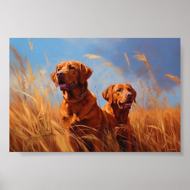 Fox red labrador retrievers poster (Front)