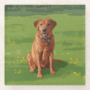 Fox Red Yellow Labrador Retriever Dog Glass Coaster