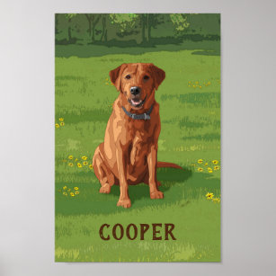 Fox Red Yellow Labrador Retriever Dog Poster