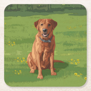Fox Red Yellow Labrador Retriever Dog Square Paper Coaster