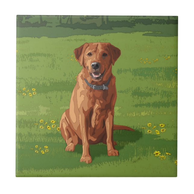 Fox Red Yellow Labrador Retriever Dog Tile (Front)