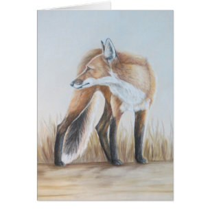 Fox rouge regardant en arrière