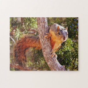 Fox Squirrel Nature Animal Puzzle