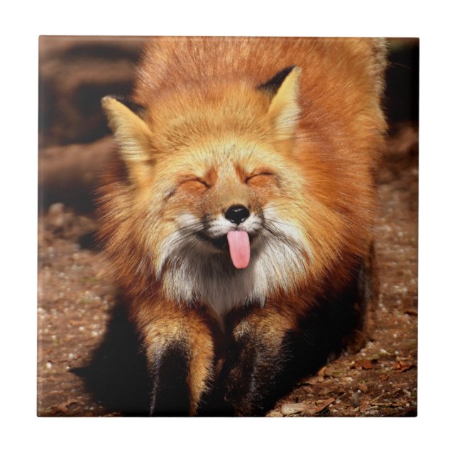 Fox Sticking It's Tongue Out Tile (Front)