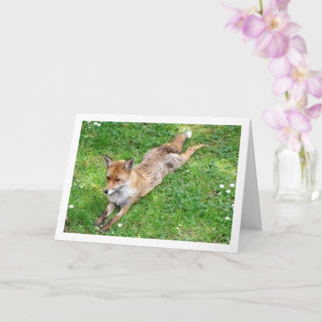 Fox Stretched Out on Grass Card (Orchid)