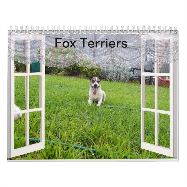 Fox Terrier Come Play, Calendrier (Protection)
