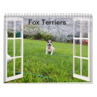 Fox Terrier Come Play, Calendrier