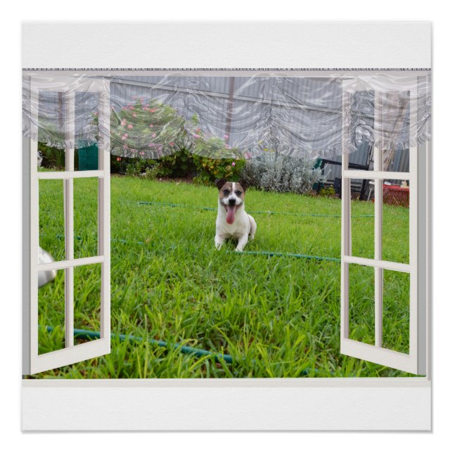 Fox Terrier Come Play, Poster (Devant)