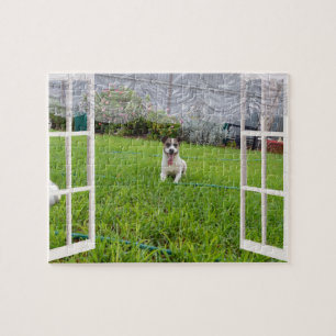 Fox Terrier Come Play, puzzle