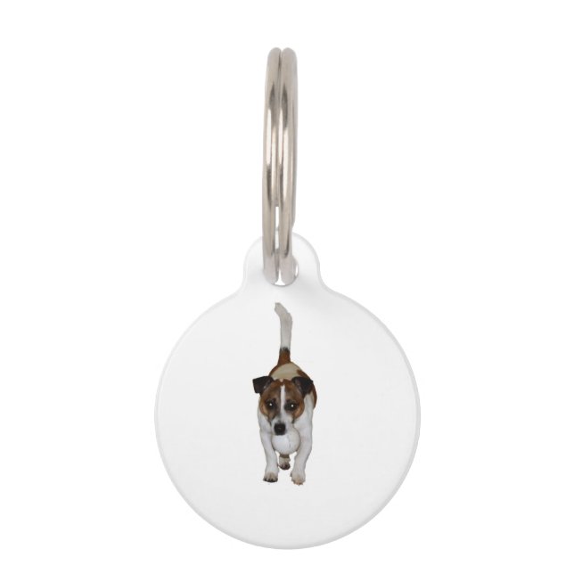 Fox Terrier, Customize This Dog Tag (Front)