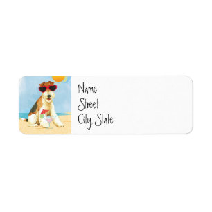 Fox Terrier de fil d'été