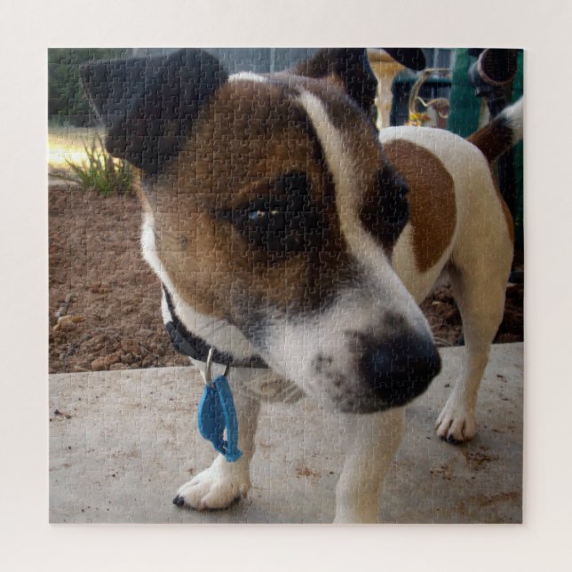 Fox Terrier Dog Attraction, Jigsaw Puzzle (Vertical)
