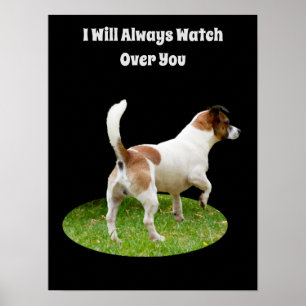 Fox Terrier en service de garde, affiche