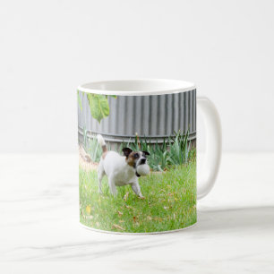 Fox Terrier Funny Scare Face, Coffee Mug