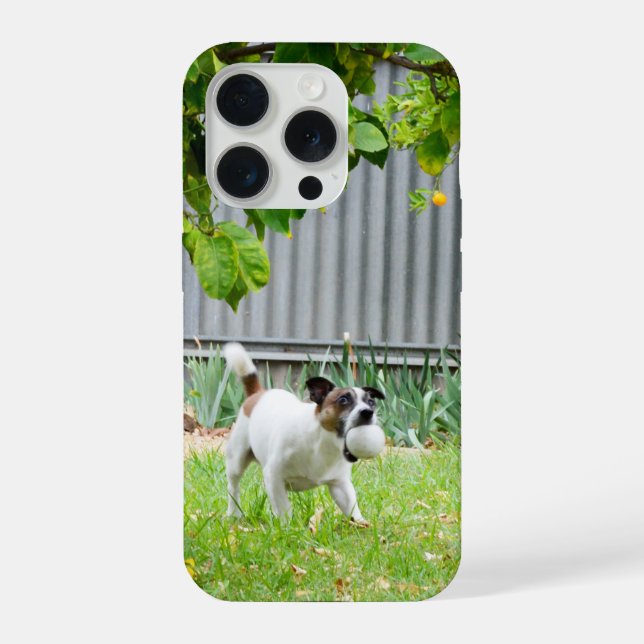 Fox Terrier Funny Scare Face, iPhone Case (Back)