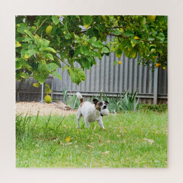 Fox Terrier Funny Scare Face, Jigsaw Puzzle (Vertical)