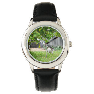 Fox Terrier Funny Scare Face, Watch