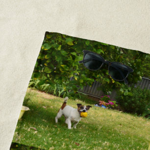 Fox Terrier Happy Days, Beach Towel