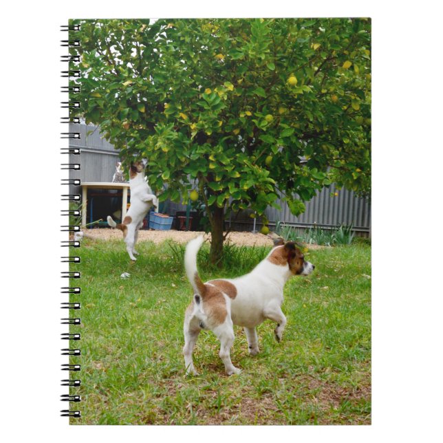 Fox Terrier Leaping Into A Tree, Notebook (Front)
