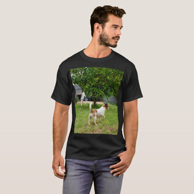 Fox Terrier Leaping Into A Tree, T-Shirt (Front Full)