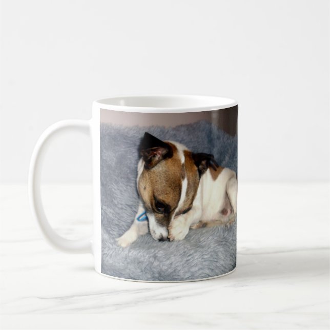 Fox Terrier, Oh So Shy, White Coffee Mug. Mug (Left)