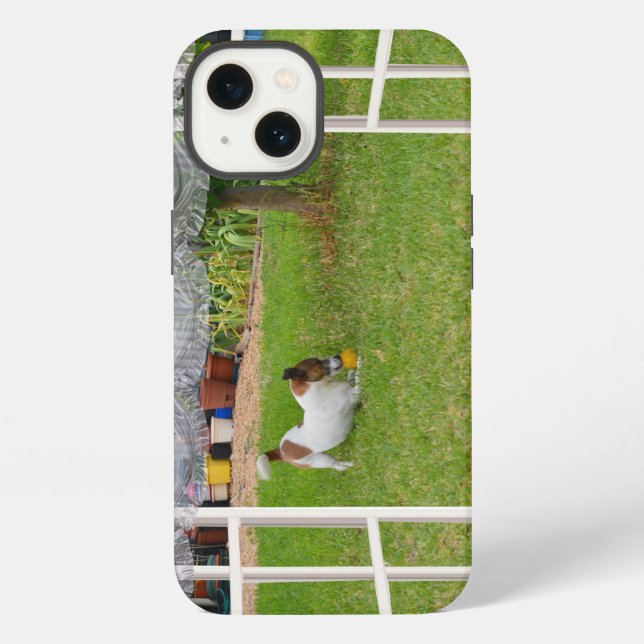 Fox Terrier Play Ball,  iPhone Case (Back)