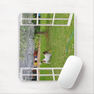 Fox Terrier Play Ball, Mousepad