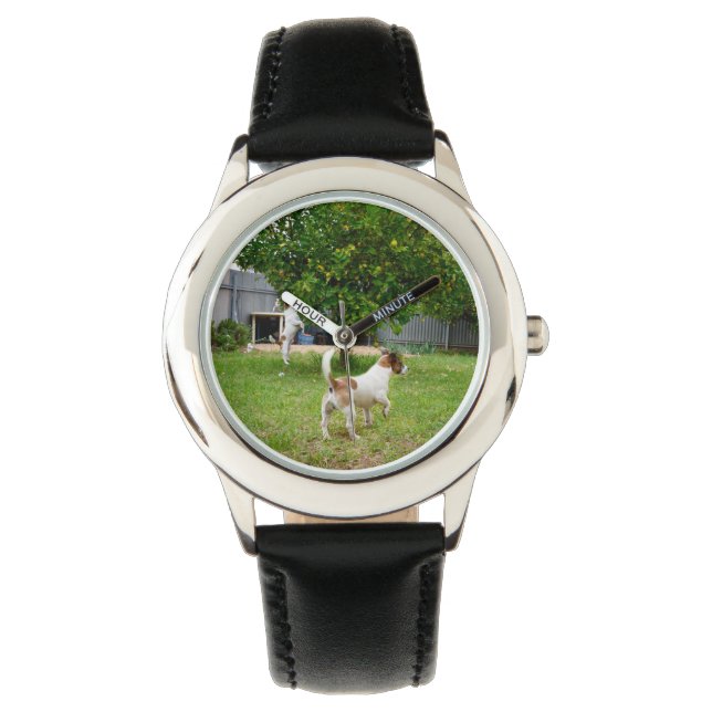 Fox Terrier Playing  In The Garden, Watch (Front)