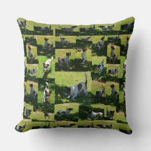Fox Terrier Playing, Photo Collarge Large Cushion. Throw Pillow