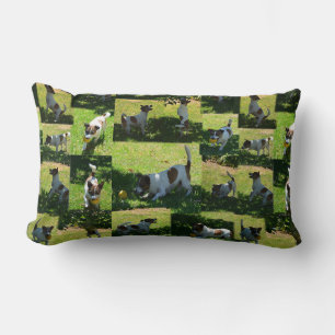 Fox Terrier Playing,Photo Collarge Lumbar Cushion. Pillow