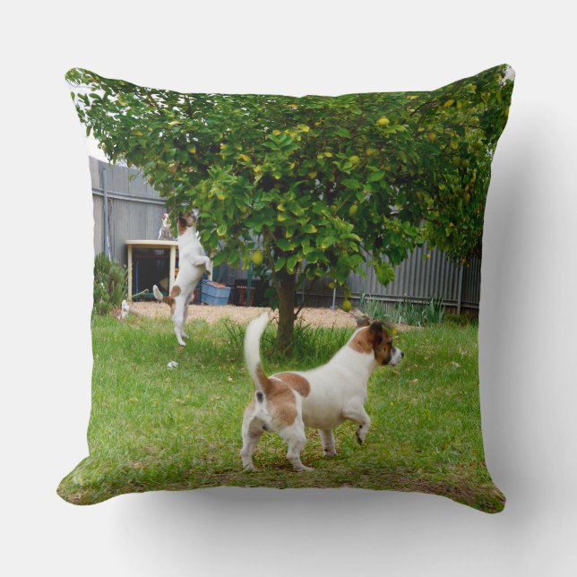 Fox Terrier Playtime Large Lounge Throw Cushion (Front)