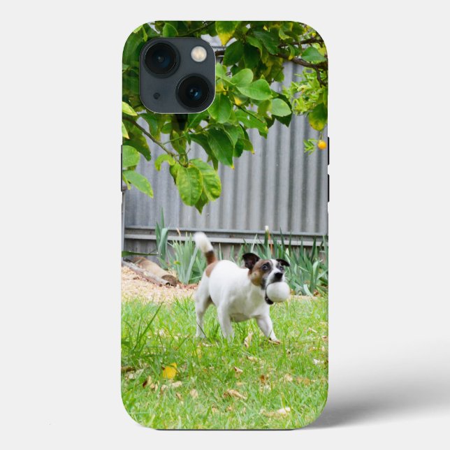 Fox Terrier Scare Face, iPhone 13 coque (Verso)