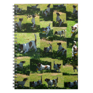 Fox Terrier, The Hard Day, Notebook