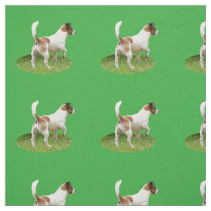 Fox Terrier The Stance, Fabric