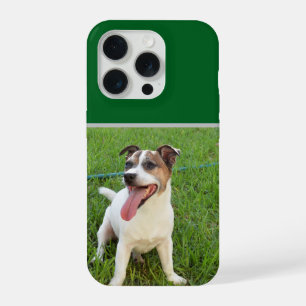 Fox Terrier, Tongue In Cheek,   iPhone 15 Pro Case