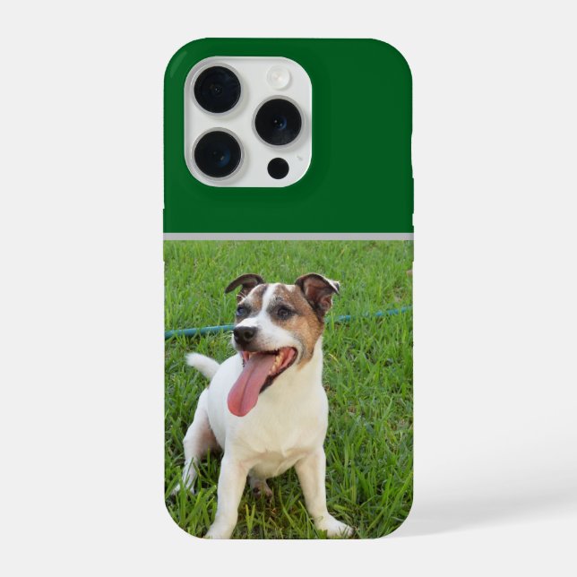 Fox Terrier, Tongue In Cheek,   iPhone Case (Back)