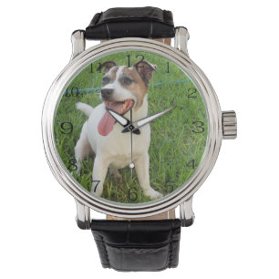 Fox Terrier, Tongue In Cheek, Watch