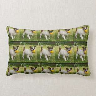 Fox Terrier With His Ball Lumbar Cushion. Pillow