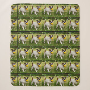 Fox Terrier With His Ball Pattern, Sherpa Blanket