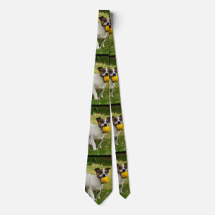Fox Terrier With His Yellow Ball, Mens Silky Tie
