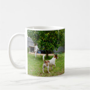 Fox Terriers Playtime, White Coffee Mug