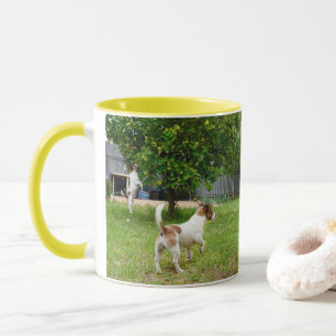 Fox Terriers Playtime, Yellow Combo Coffee Mug